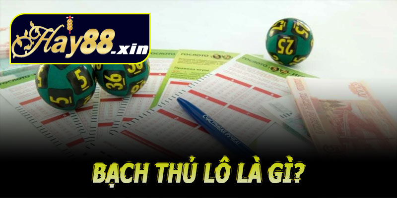 Bạch thủ lô là gì?