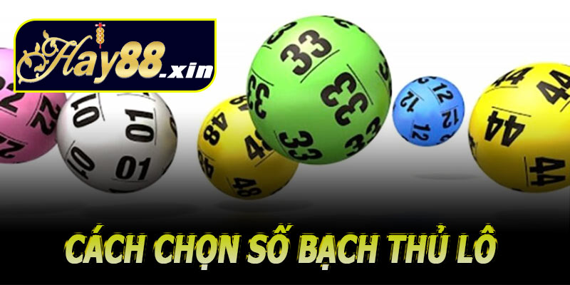 Cách chọn số bạch thủ lô hiệu quả cho người chơi