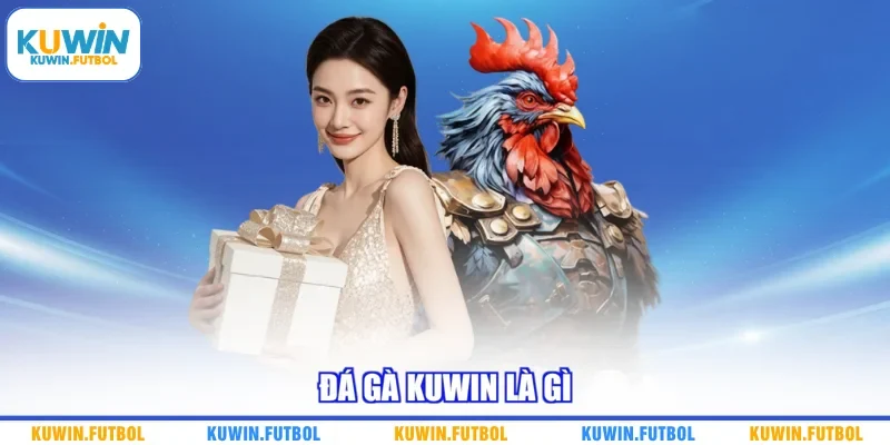 Đá gà Kuwin là gì