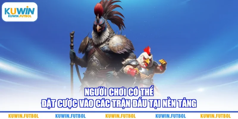 Người chơi có thể đặt cược vào các trận đấu tại nền tảng