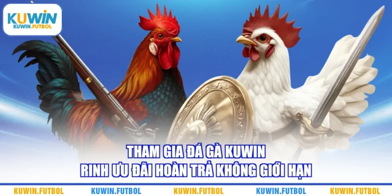Tham gia đá gà Kuwin rinh ưu đãi hoàn trả không giới hạn 