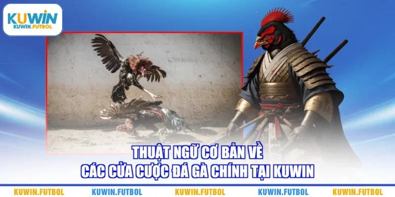 Thuật ngữ cơ bản về các cửa cược đá gà chính tại Kuwin